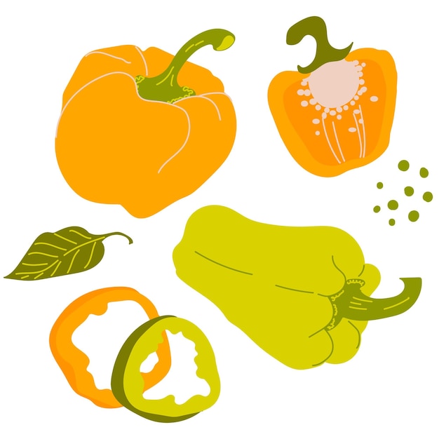 Bell pepper set. Sliced ââpieces. Healthy vegetable. Vector illustration