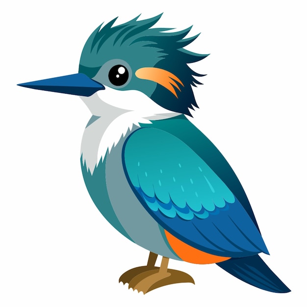 belted kingfisher flat illustration white background vector illustration