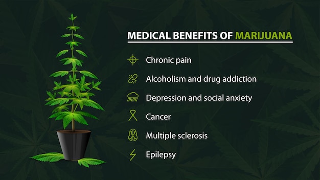 Vector benefits uses of medical marijuana, green poster for website with bush of cannabis in a pot and infographic of benefits