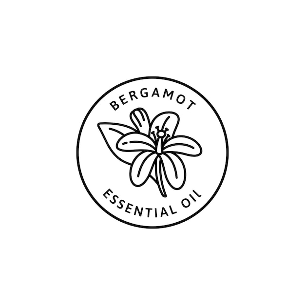 Bergamot Flower essential oil Icon in trendy linear style. Vector organic Bergamot badges of packaging design template and emblem. Isolated on white background. For Tea , Cosmetics, Medicines