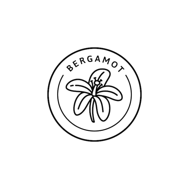 Bergamot Flower Icon in trendy linear style. Vector organic Bergamot badges of packaging design template and emblem. Isolated on white background. For Tea , Cosmetics, Medicines