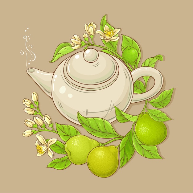 Bergamot tea vector illustration