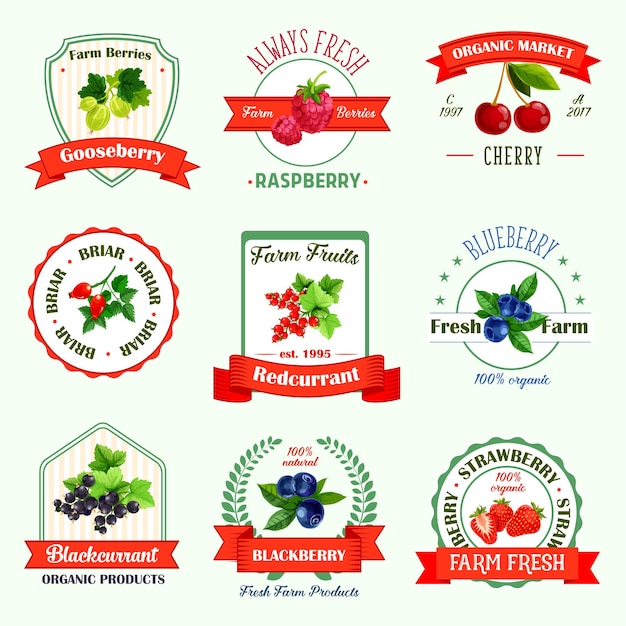 Vector berries vector icons for berry product labels