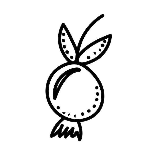 Berry doodle sketch on white background isolated vector