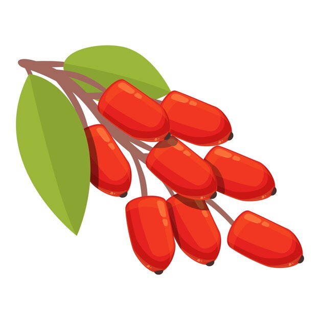 Vector berry goji fruit icon cartoon vector organic leaf food red