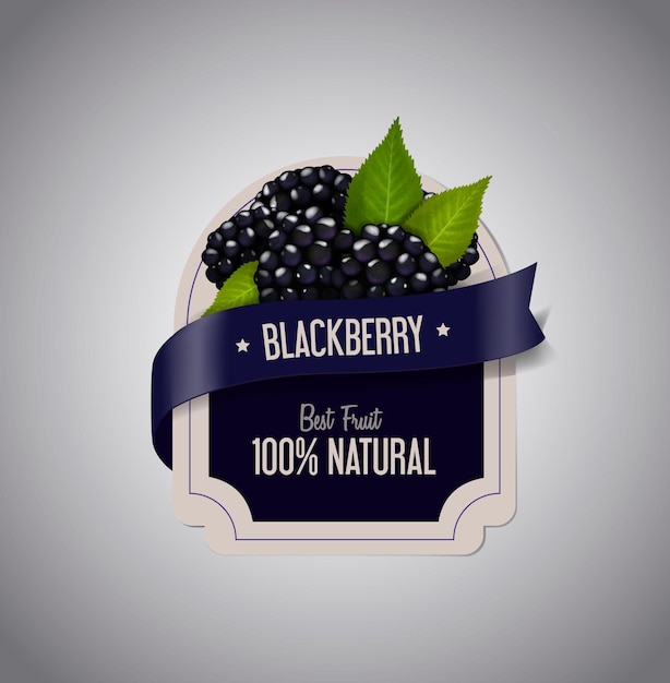 Berry Label with ripe blackberry with green leaves Blackberry jam label design template