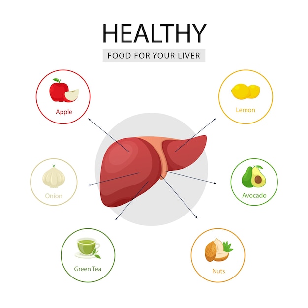 Best food for health liver, health food illustration, nutrition, nutrition infographic concept