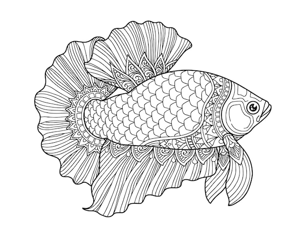 Betta fish coloring page design clear background