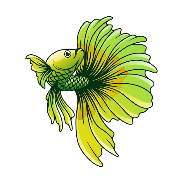 Betta fish vector illustration