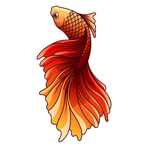 Betta fish vector illustration