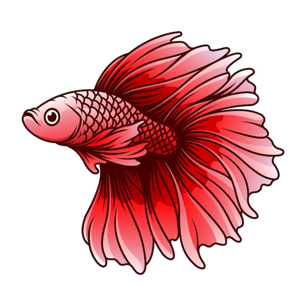 Betta fish vector illustration