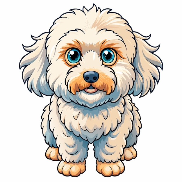 Vector bichon frise dog colored illustration with stroke transparent background vector illustration