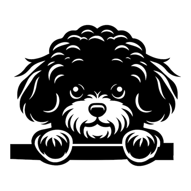 Bichon Frise Dog Peeking face vector illustration in black and white