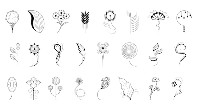 Big Abstract Set Doodle Hand Drawn Collection Botanic Herbal Flora Leaf Branch Vine Flowe Plants