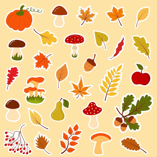 Big autumn forest set of stickers Collection of fallen leaves mushrooms acorns berries twigs fruit