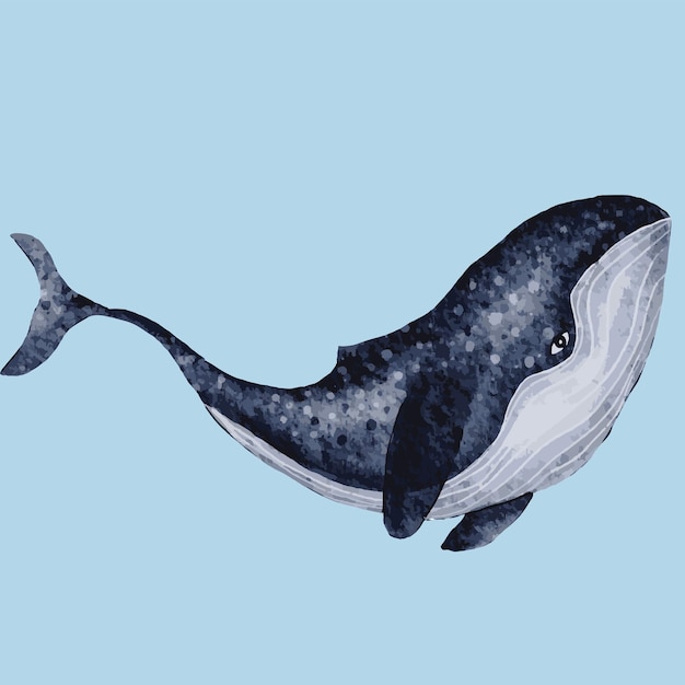 Big blue whale Handdrawn watercolor illustration