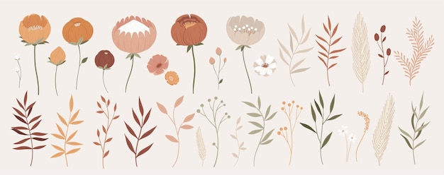 Big collection of floral elements with hand drawn outline