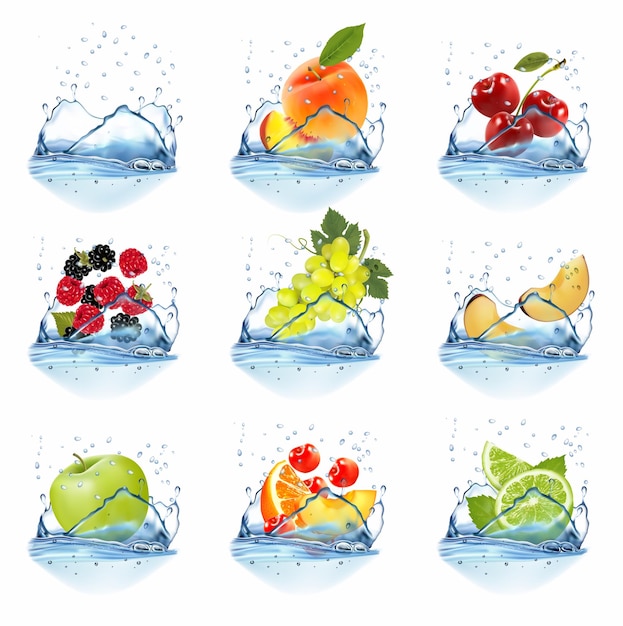 Big collection of fruit in a water splash Raspberry blackberry plum strawberry cherry apple peach grape orange lime Vector Set