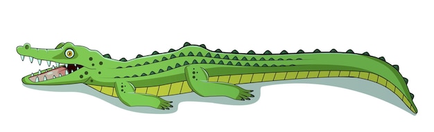 Vector big crocodile cartoon white background