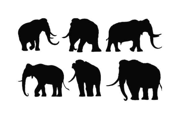 Big elephant walking silhouette collection on a white background Huge elephant silhouette icon bundle Wild animal silhouette set vector Elephant with big tusks silhouette symbol vector