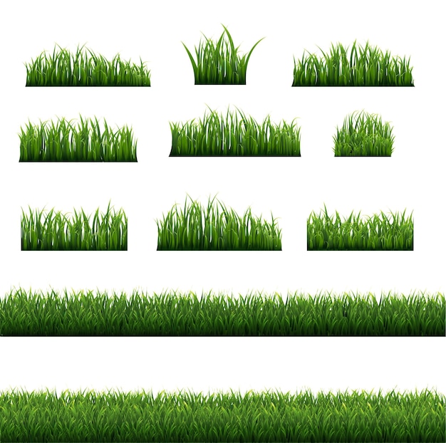 Big Green Grass Frame Set Isolated