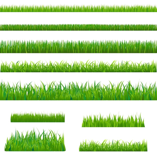 Big Green Grass,  On White Background,  Illustration.