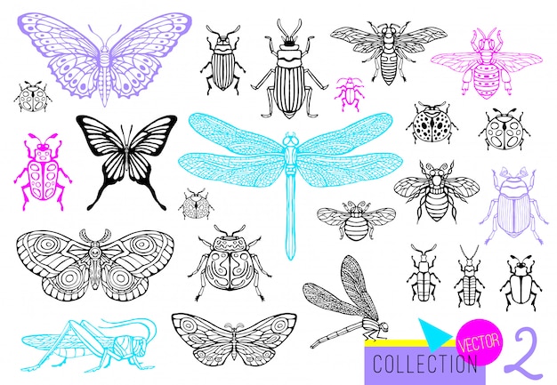 Big hand drawn line set of insects bugs, beetles, honey bees, butterfly; moth, bumblebee, wasp, dragonfly, grasshopper. Silhouette vintage sketch style engraved illustration.