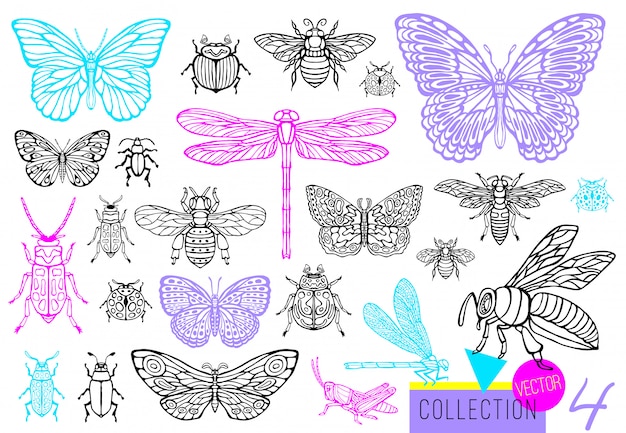 Big hand drawn line set of insects bugs, beetles, honey bees, butterfly; moth, bumblebee, wasp, dragonfly, grasshopper. Silhouette vintage sketch style engraved illustration.