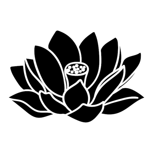 Big lotus flower Lotus flower silhouette Botanical collections