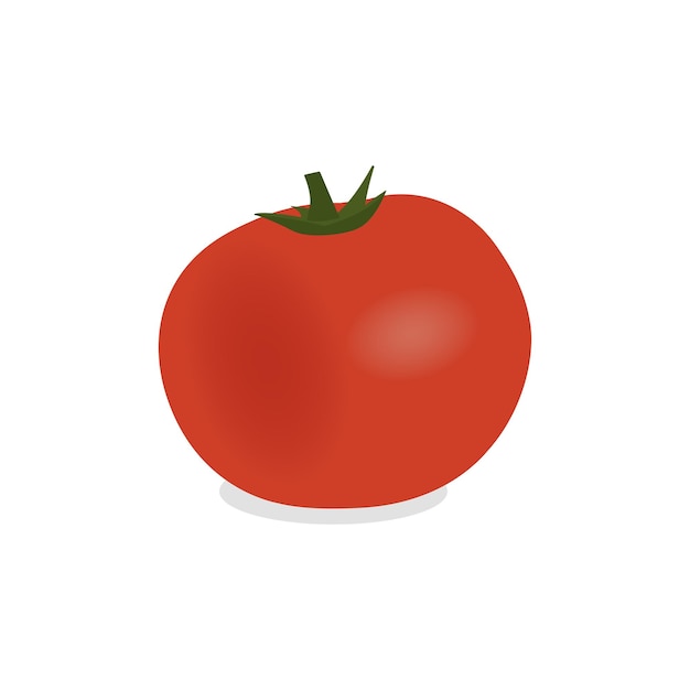 Big ripe red fresh tomato. Vector illustration isolated on white background