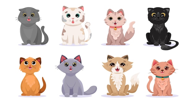 Big set of adorable cats of different breeds Bundle of purebred domestic pet animals