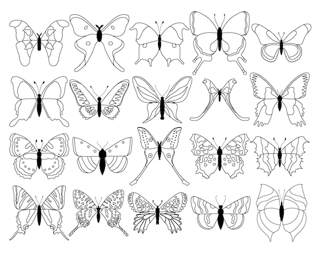 Big set butterflies on a white background drawing decorative insect silhouettes hand draw vector