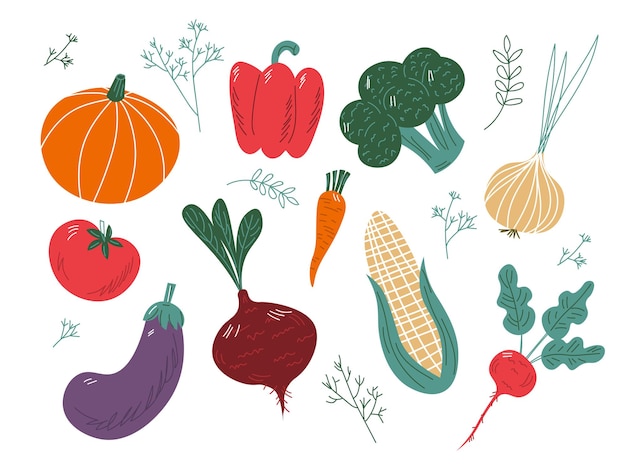 Big set of colorful hand drawn fresh delicious vegetables isolated on white background Flat cartoon vector illustration EPS