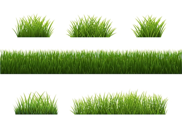 Big Set Grass Panorama White Background