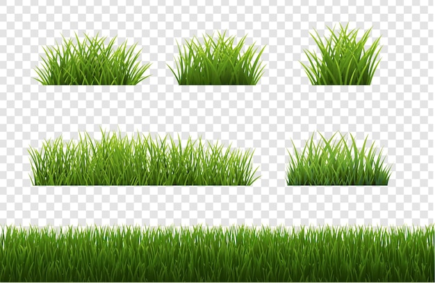 Big Set Grass Panorama White Background