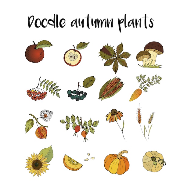 Big set of handdrawn unique autumn icons