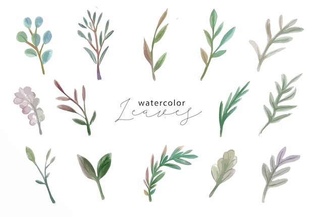 Big set of leaves watercolor illustration Leaf set clip art drawing element wedding ornament set