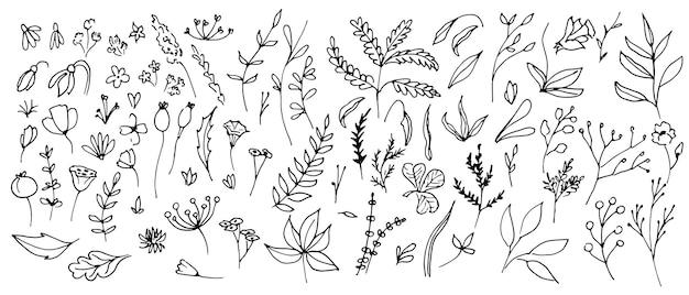 Big Set of vector Plants in Doodle style Hand drawn illustration in monochrome black and white colors Floral collection with clover and flowers on isolated background Outline branches for icon