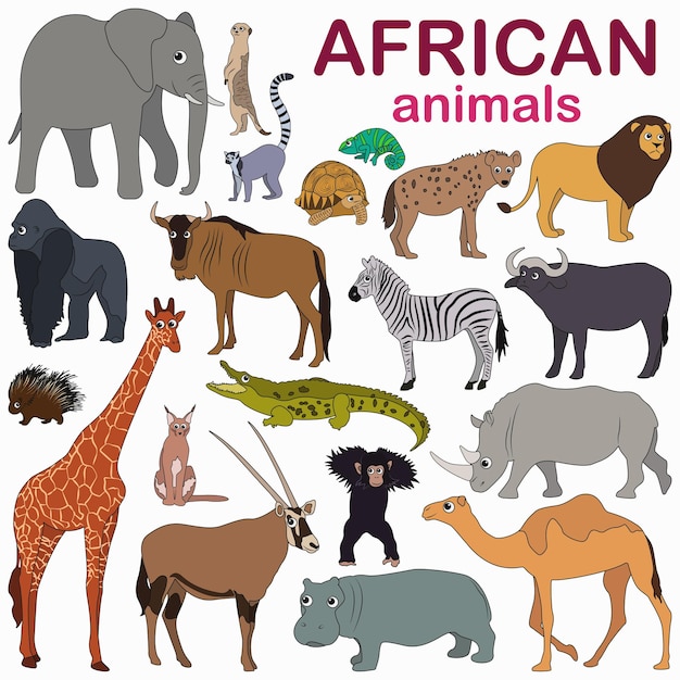 Vector big set with colorful african animals in cartoon style . cute wild animals. big set with animals.