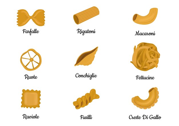 Big set with the different types of Italian pasta vector illustration isolated on white background