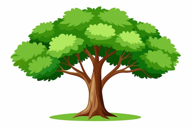 Big tree isolated cartoon