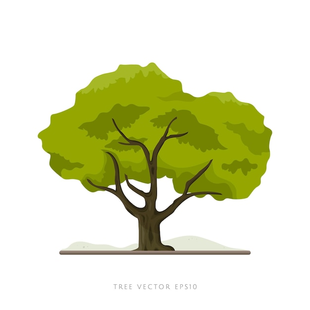 Big tree vector illustration isolated on white background