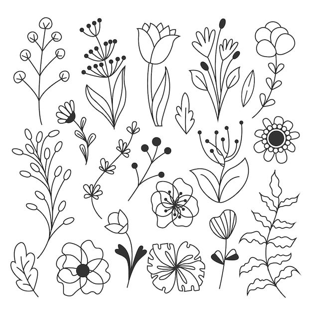 Big vector set of Flowers Hand drawn Flower and branch doodle Branches petals flowering plants