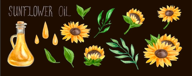 Big watercolor set of sunflowers and oil with green leaves. High quality photo