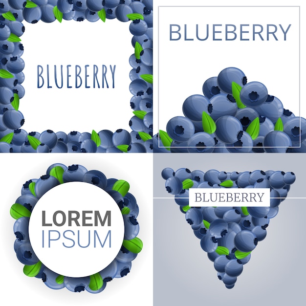 Bilberry banner set, cartoon style