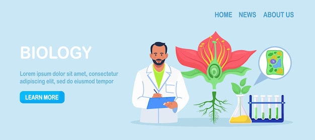 Biology botany subject Biologist exploring nature Scientist make laboratory analysis of life system of plants Molecular engineering microbiology Chemical researcher working with lab equipment