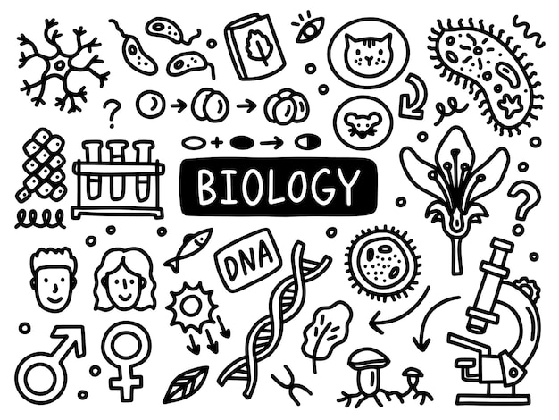 Biology doodle line set school university Outline subject