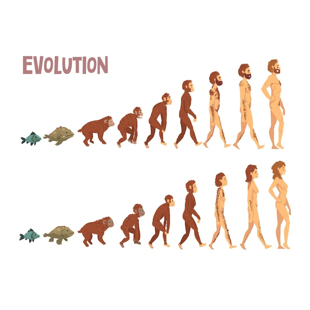 Vector biology human evolution stages evolutionary process of man and woman vector illustration