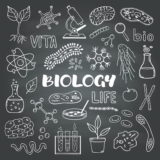 Biology Set of vector hand drawn doodle style elements