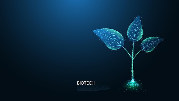 Vector biotechnology line connection. green growing plant sprout low poly wireframe design.